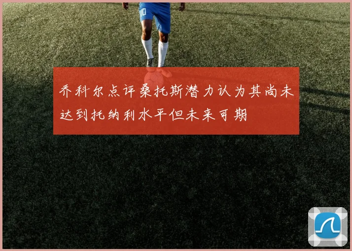 乔科尔点评桑托斯潜力认为其尚未达到托纳利水平但未来可期