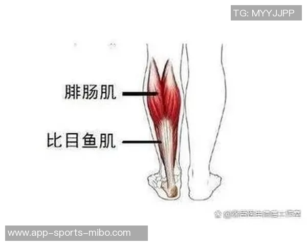 阿拉巴因右小腿比目鱼肌超负荷伤情将缺席比赛7到10天